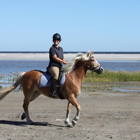 Naar Zee Op Ameland Buren  Luaran gambar