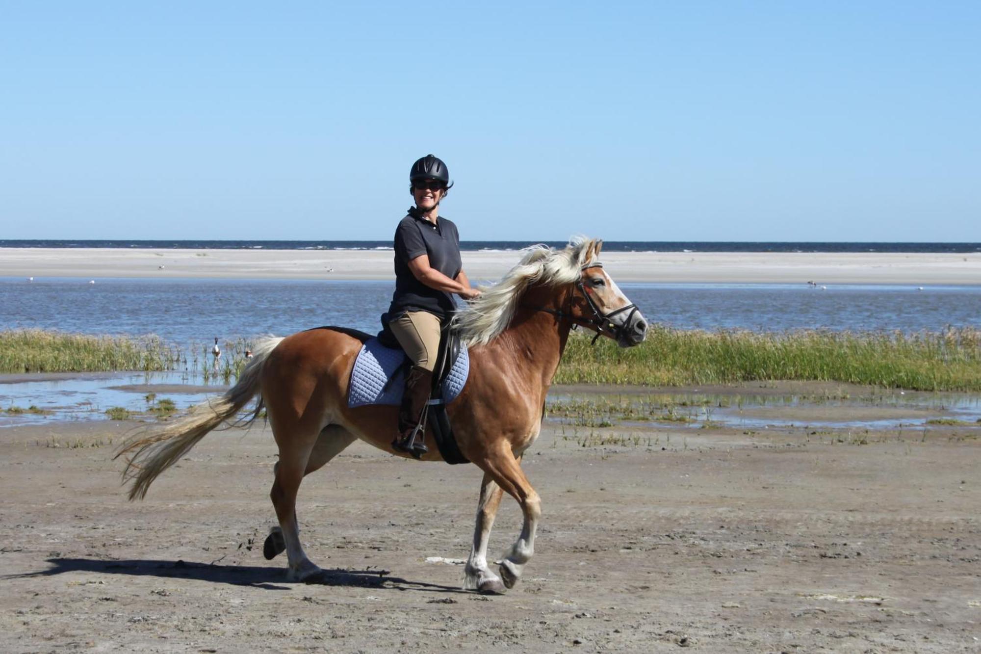 Naar Zee Op Ameland Buren  Luaran gambar